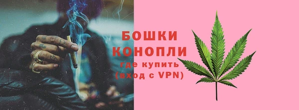 наркотики Бородино