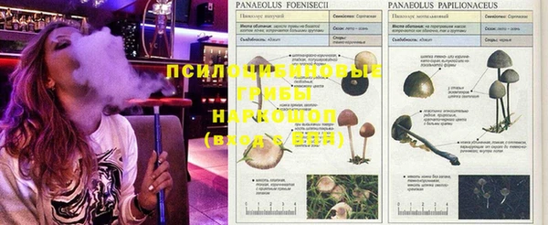 кокс Бугульма